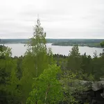 Ellivuori